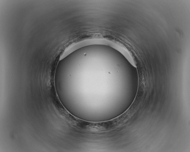 X0000113010512200909031316