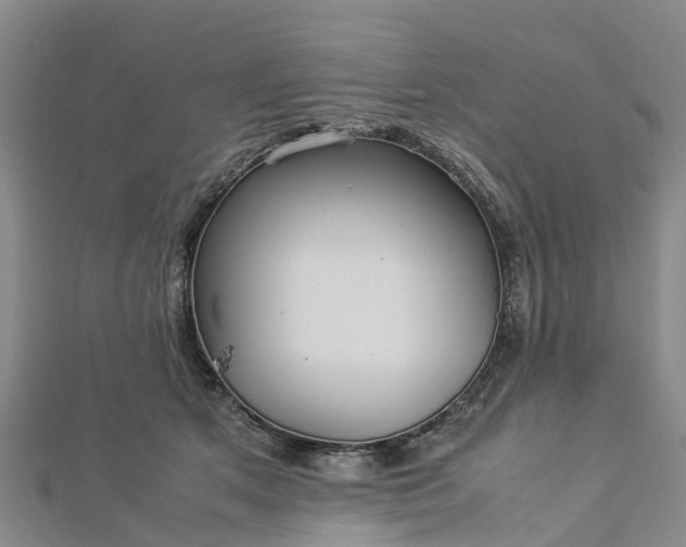 X0000113010513200909031316