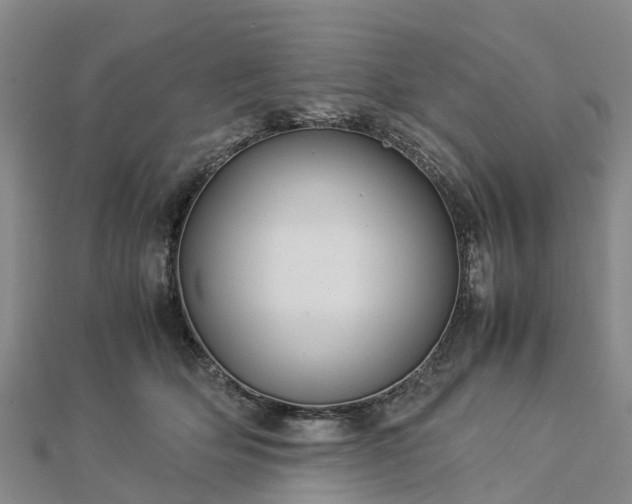 X0000113010514200909031316