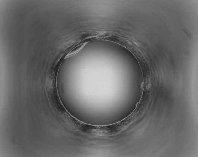 X0000113010515200909031316