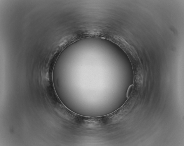 X0000113010516200909031316