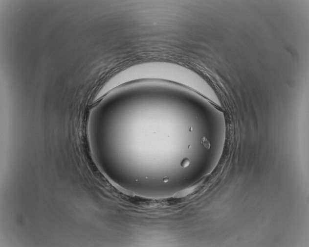 X0000113010517200909031316