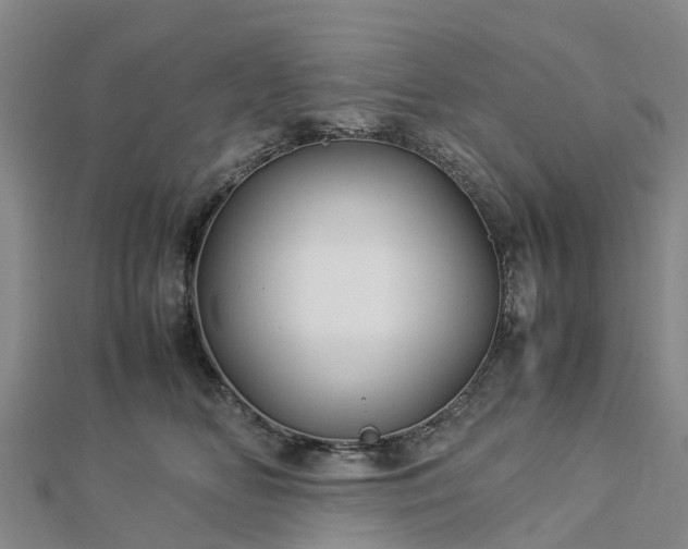 X0000113010518200909031316