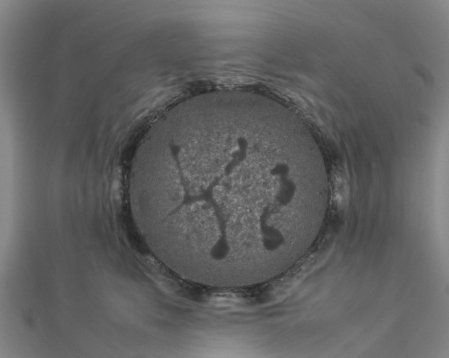 X0000113010519200909031316