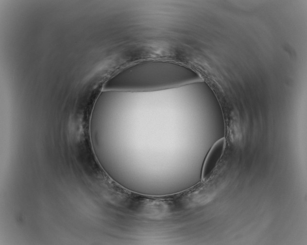 X0000113010520200909031316