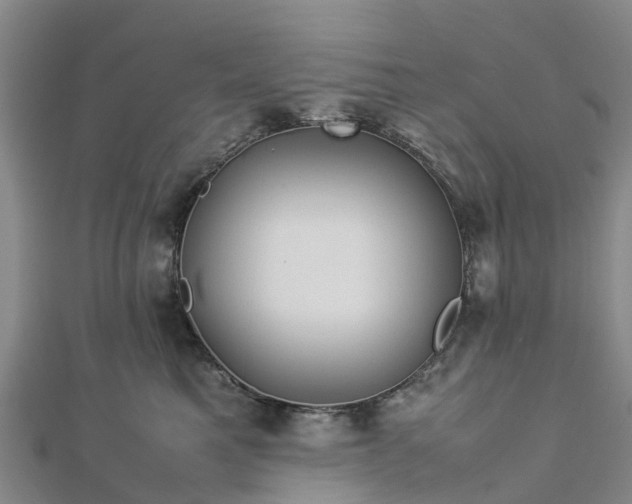 X0000113010521200909031316