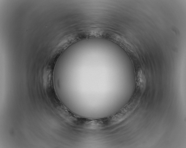 X0000113010522200909031316