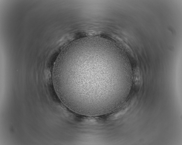 X0000113010523200909031316