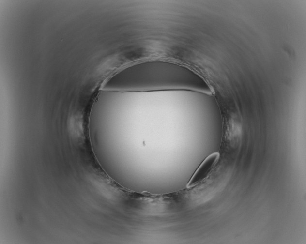 X0000113010524200909031316