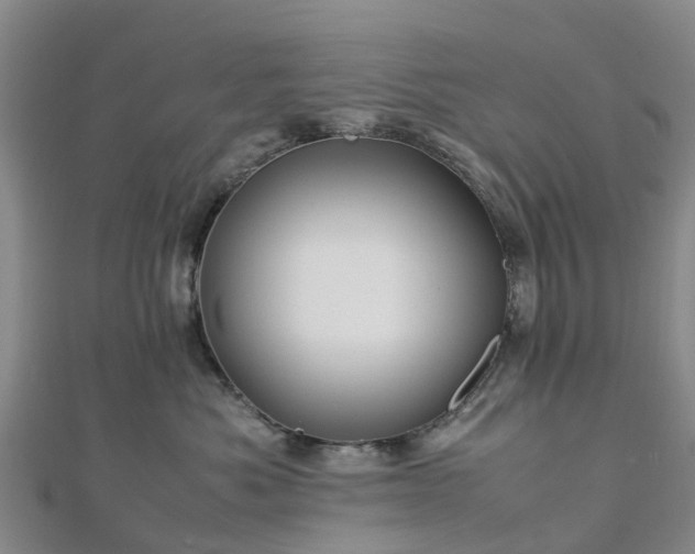 X0000113010525200909031316