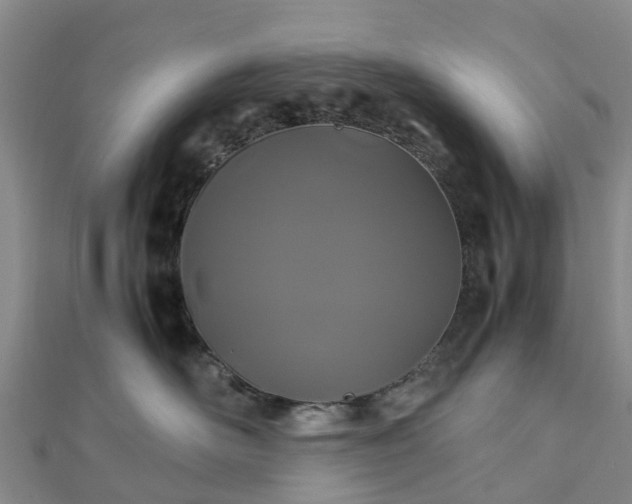 X0000113010526200909031316