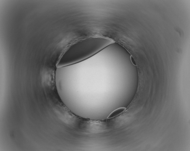 X0000113010528200909031316