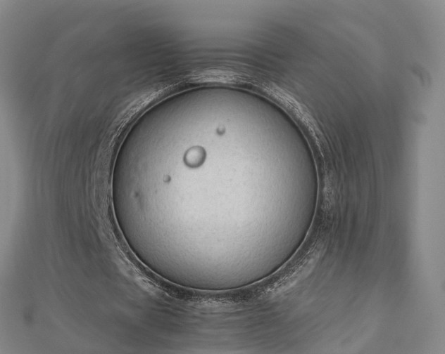 X0000113010529200909031316