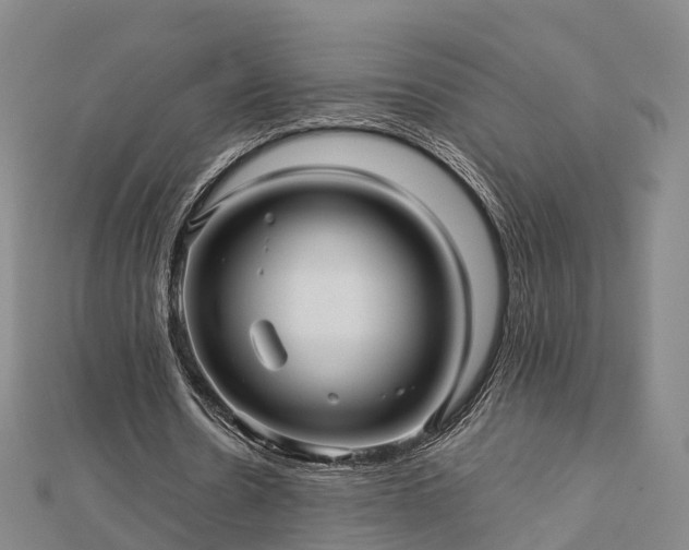 X0000113010530200909031316