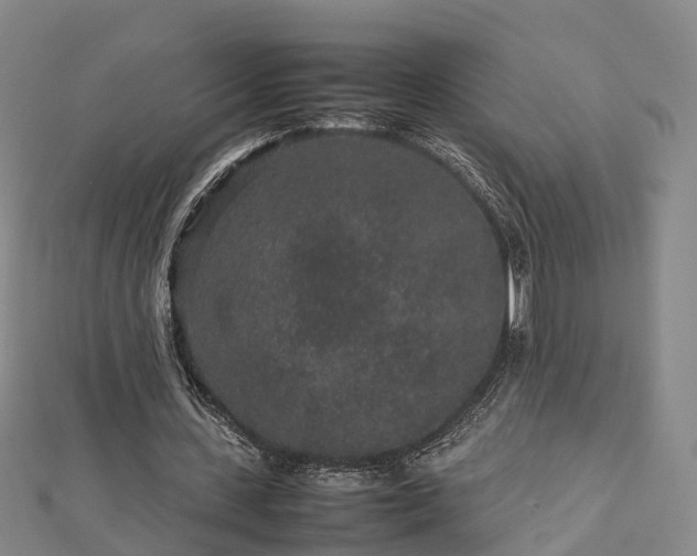 X0000113010531200909031316