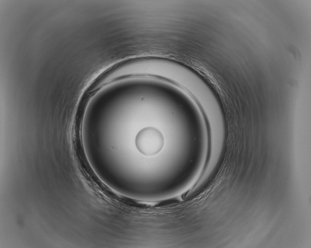 X0000113010532200909031316