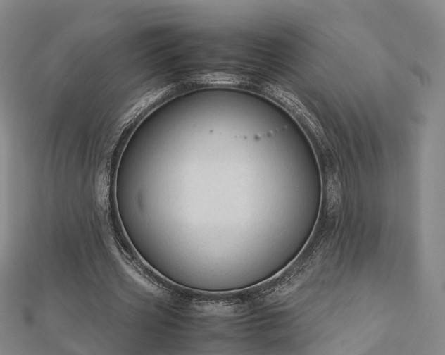 X0000113010533200909031316