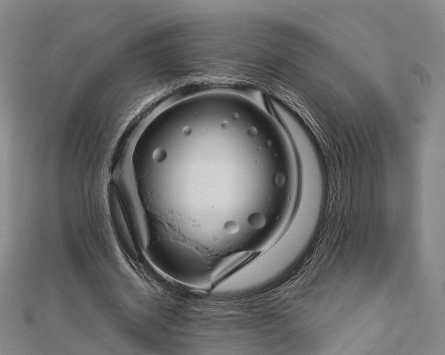 X0000113010534200909031316