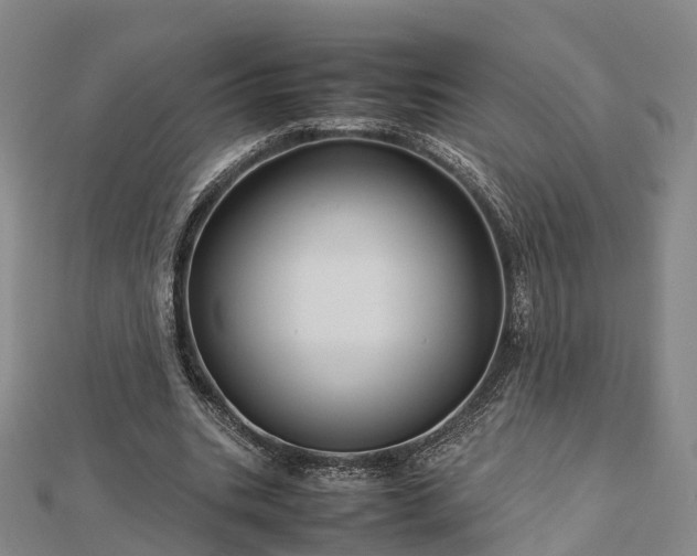 X0000113010535200909031316