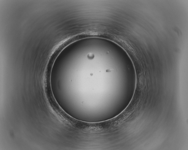 X0000113010536200909031316