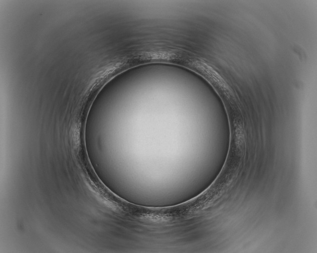 X0000113010537200909031316