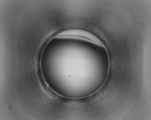 X0000113010538200909031316