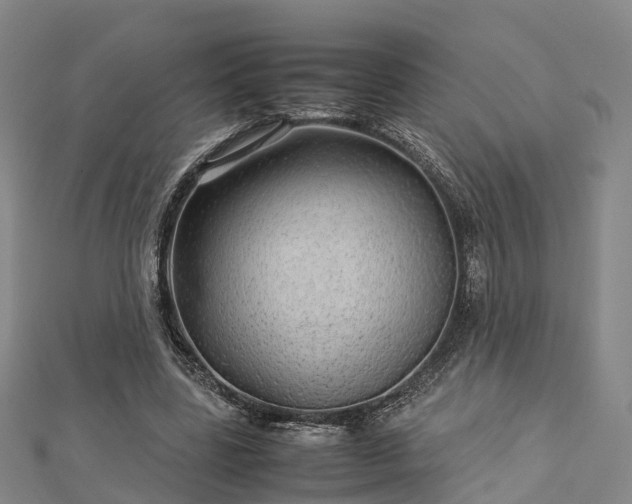 X0000113010539200909031316