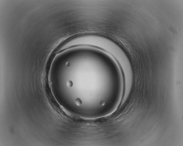 X0000113010540200909031316