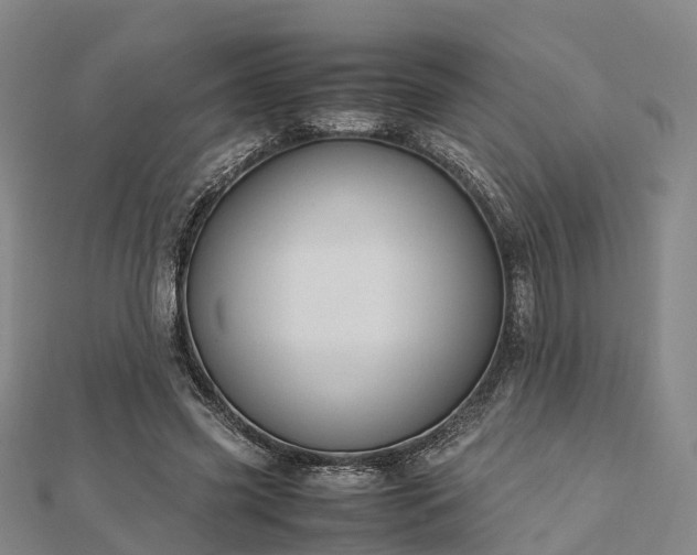 X0000113010541200909031316