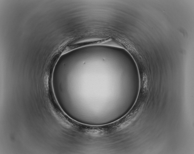 X0000113010542200909031316