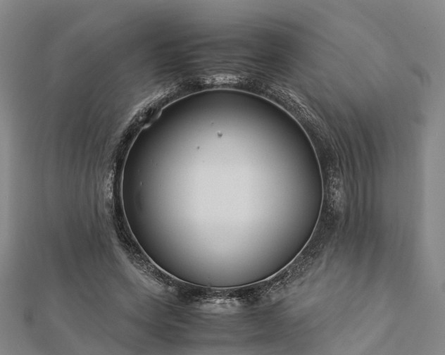 X0000113010543200909031316