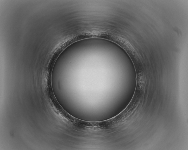 X0000113010544200909031316