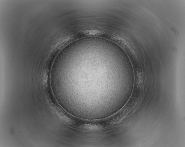 X0000113010545200909031316