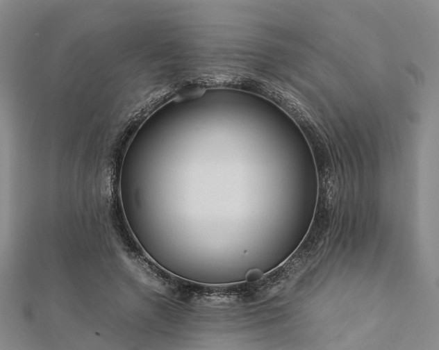 X0000113010546200909031316