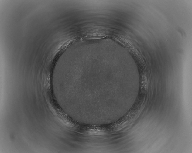 X0000113010547200909031316