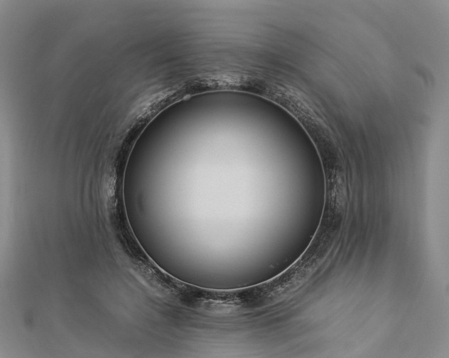 X0000113010548200909031316