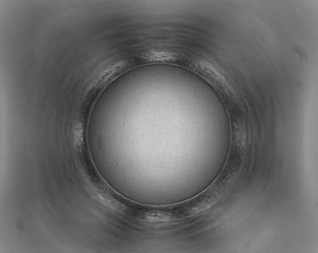 X0000113010549200909031316