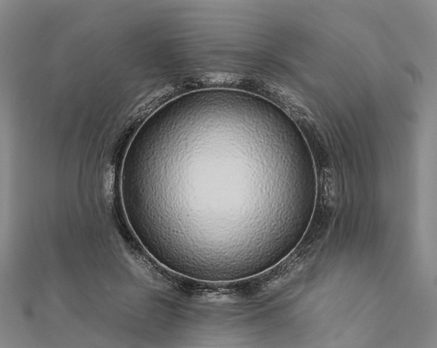 X0000113010550200909031316