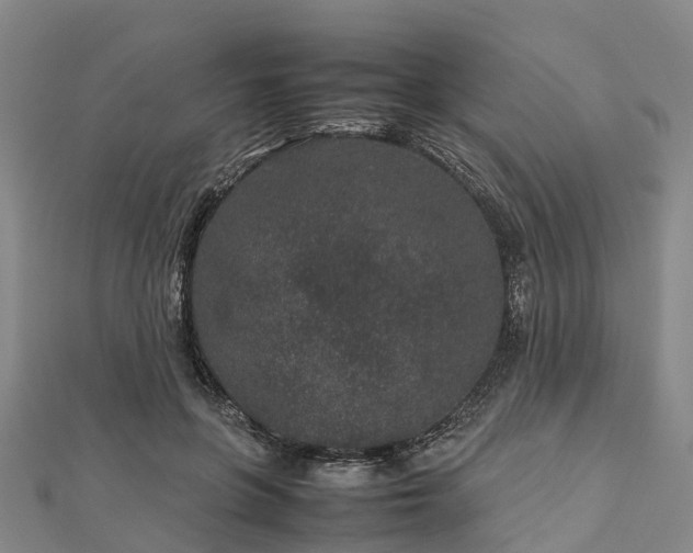 X0000113010551200909031316