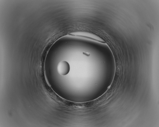 X0000113010552200909031316