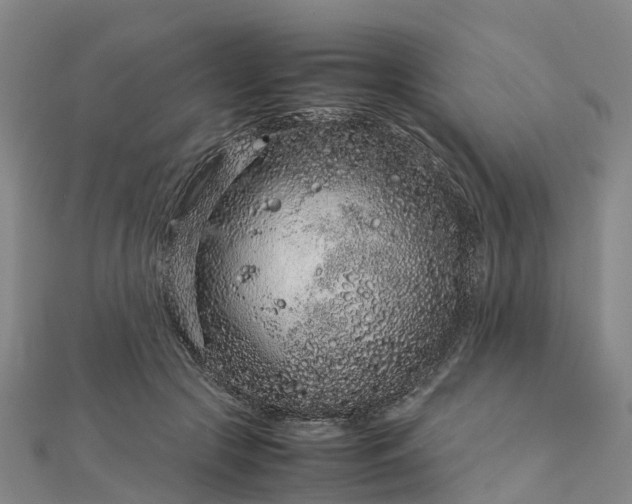 X0000113010553200909031316