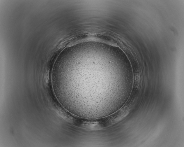 X0000113010554200909031316