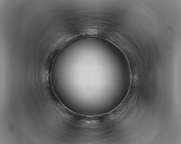 X0000113010555200909031316