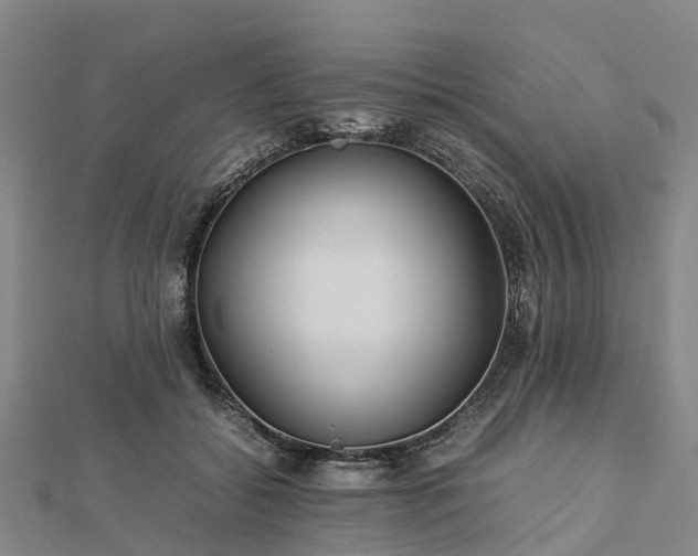 X0000113010556200909031316