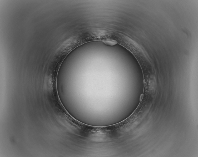 X0000113010558200909031316