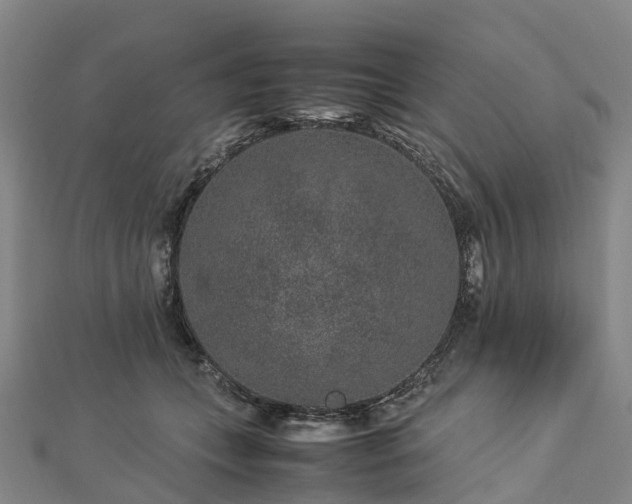 X0000113010559200909031316