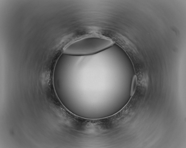 X0000113010560200909031316