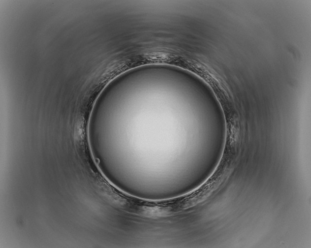 X0000113010561200909031316