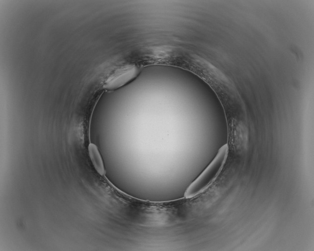 X0000113010562200909031316