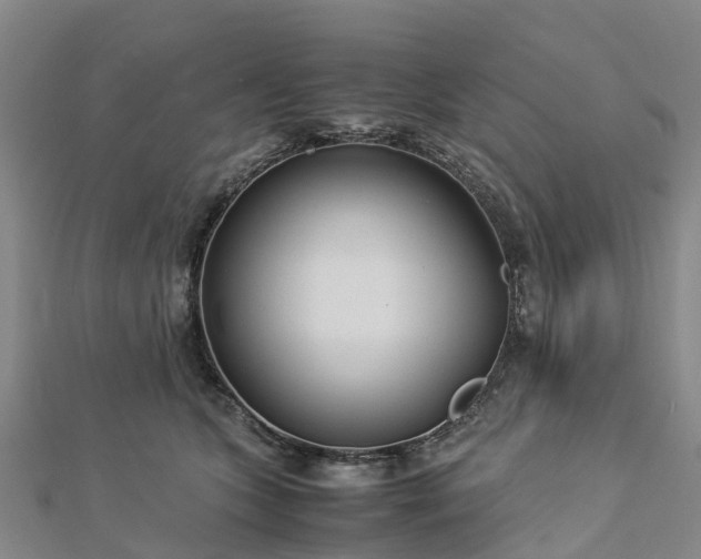 X0000113010563200909031316